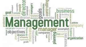 Effective Management: Sahi Process Se Apni Team Ki Productivity Kaise Badhayein ?